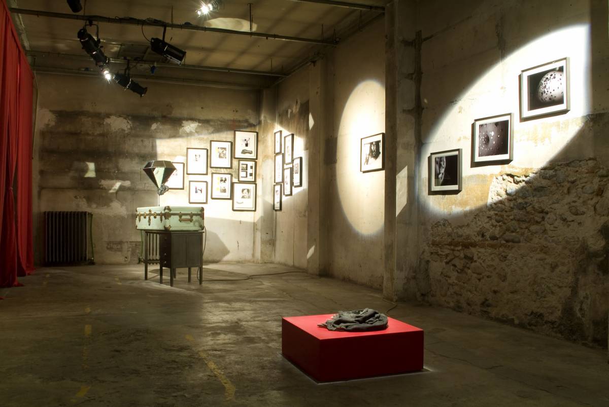 Fat Iggy, 2009, installation view