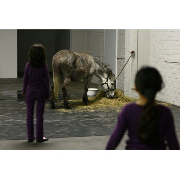 forty acres and a mule