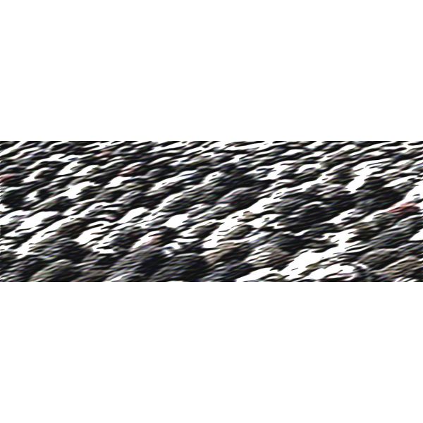 Cairo Crowd n.Â° 21